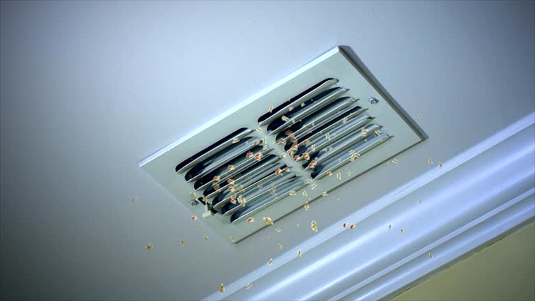 Best Ductwork Cleaning Services  in Ball, LA