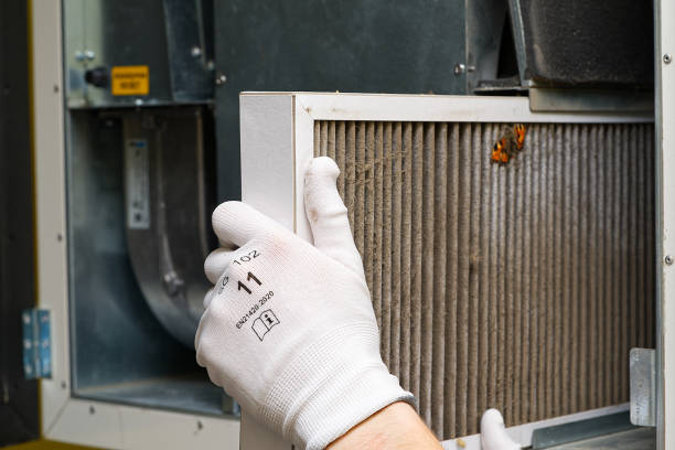 Best Home Air Vent Cleaning  in Ball, LA