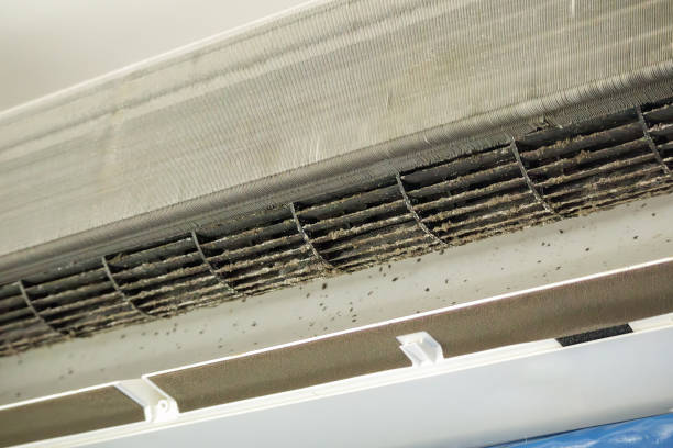 Best Residential Air Duct Cleaning  in Ball, LA