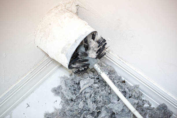Best HVAC Maintenance and Cleaning  in Ball, LA