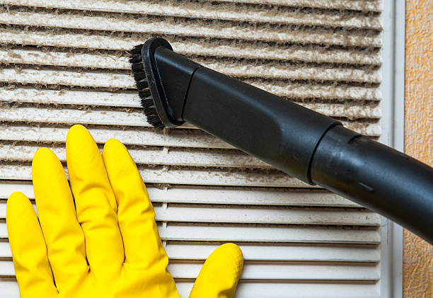 Best Best Air Duct Cleaning Near Me  in Ball, LA
